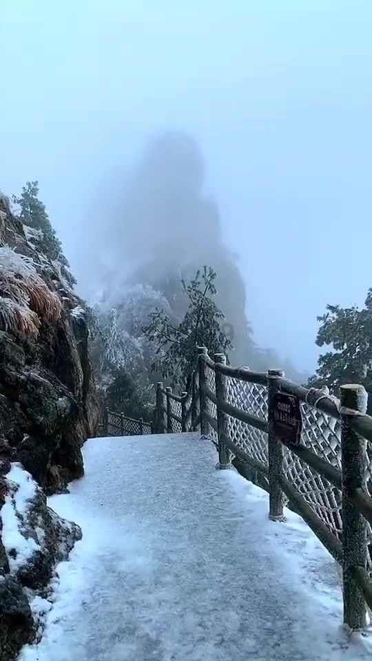 芭比的大学之旅