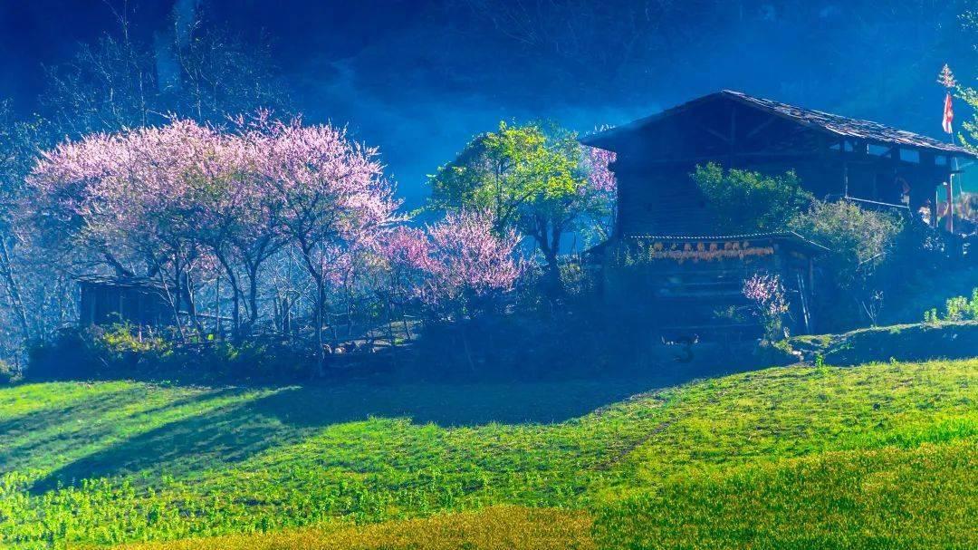 神秘侦探