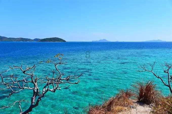 逆水寒