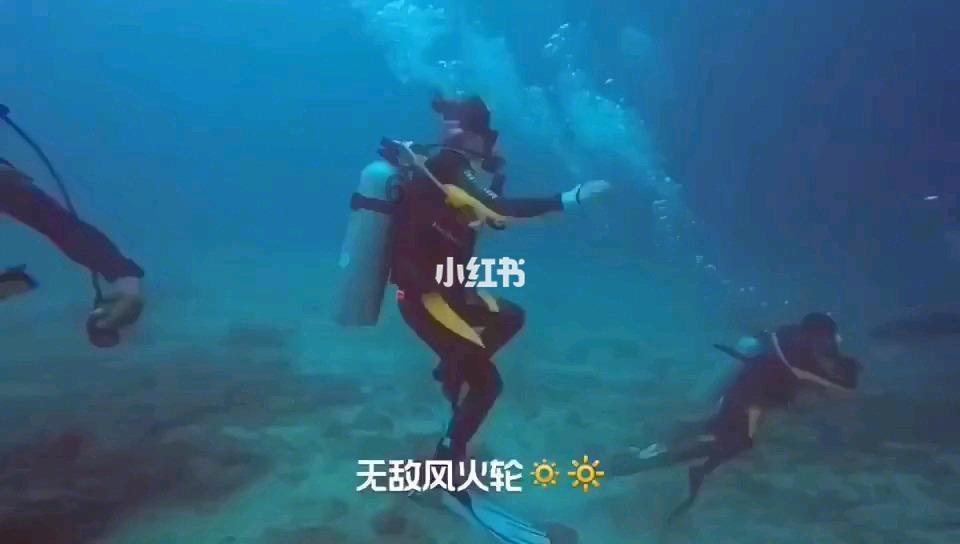 植物大战僵尸16